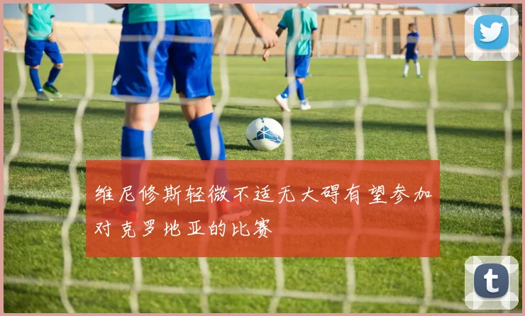 维尼修斯轻微不适无大碍有望参加对克罗地亚的比赛